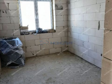 dom-selo-efimevo-bogorodskiy-municipalnyy-okrug фото