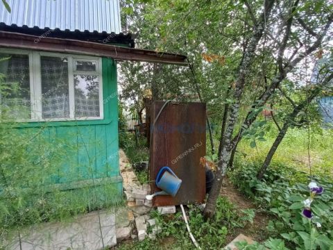 dacha фото