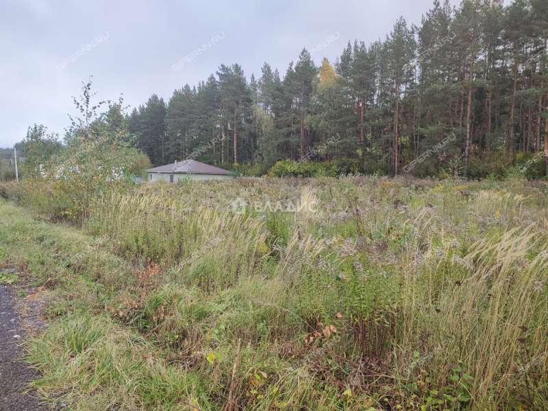 земельный участок 7,29 сотки улица Саврасова село Каменки