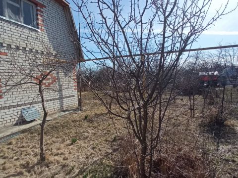 dom-centralnaya-ulica фото