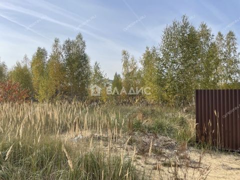 gorod-dzerzhinsk-gorodskoy-okrug-dzerzhinsk фото