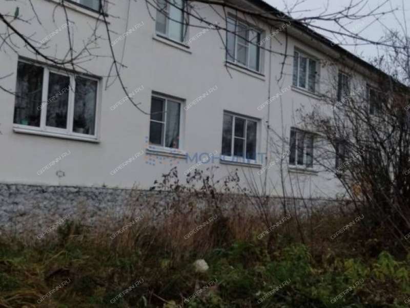 двухкомнатная квартира на Новой улице дом 11 село Каменки