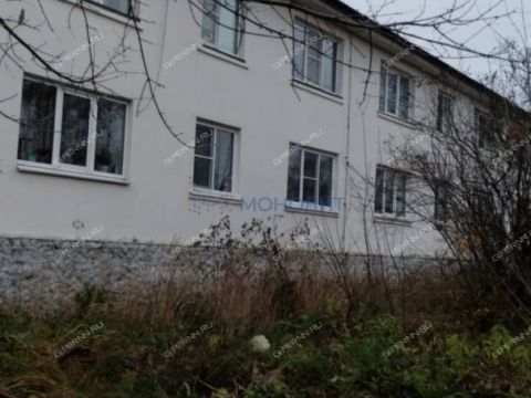 2-komnatnaya-selo-kamenki-bogorodskiy-municipalnyy-okrug фото