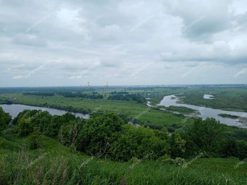 земельный участок 23 сотки Советская улица село Дуденево