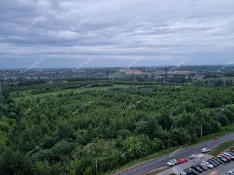 2-komnatnaya-derevnya-ankudinovka-kstovskiy-rayon фото