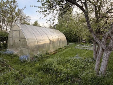 dacha-stimul-ter-snt-gorodskoy-okrug-bor фото