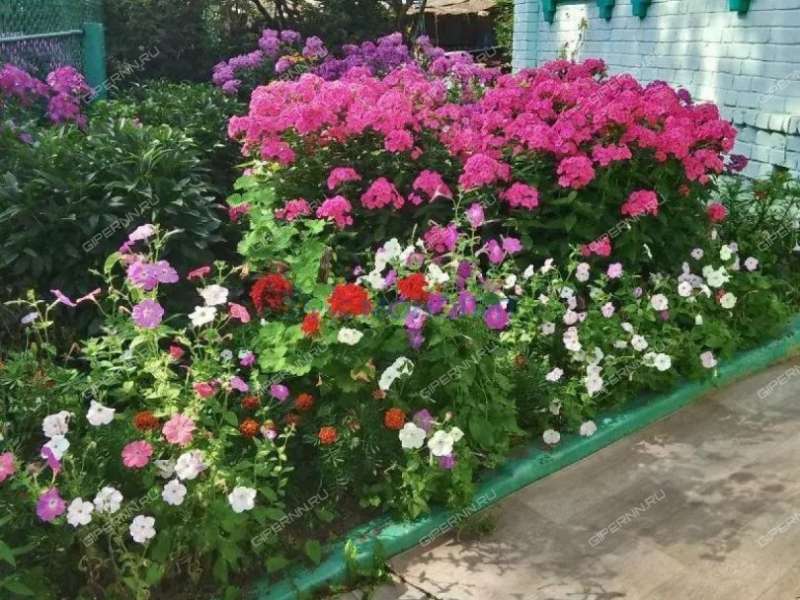 дом на улице Серова рабочий посёлок Горбатовка