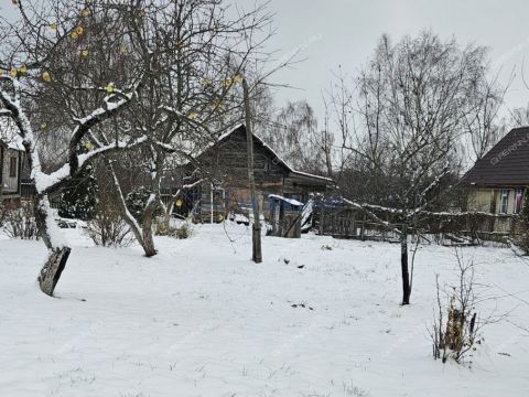 dom-derevnya-piyaichnoe-sosnovskiy-rayon фото