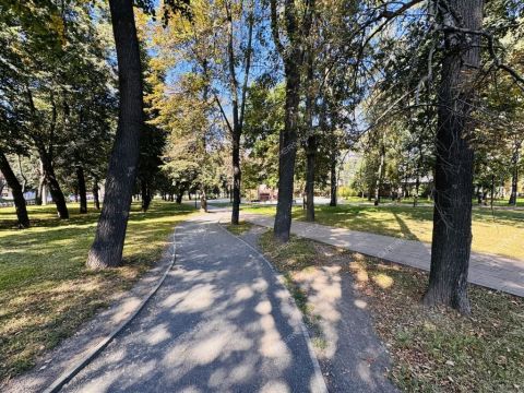 1-komnatnaya-ul-belinskogo-d-55 фото