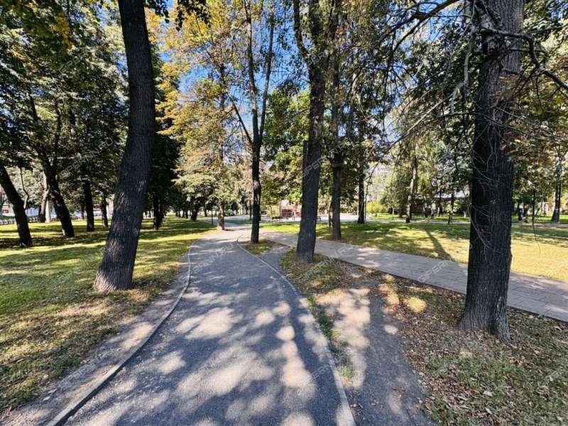 однокомнатная квартира на улице Белинского дом 55