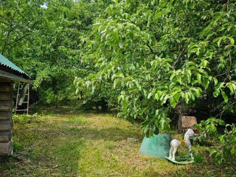дом на Центральной улице село Доскино