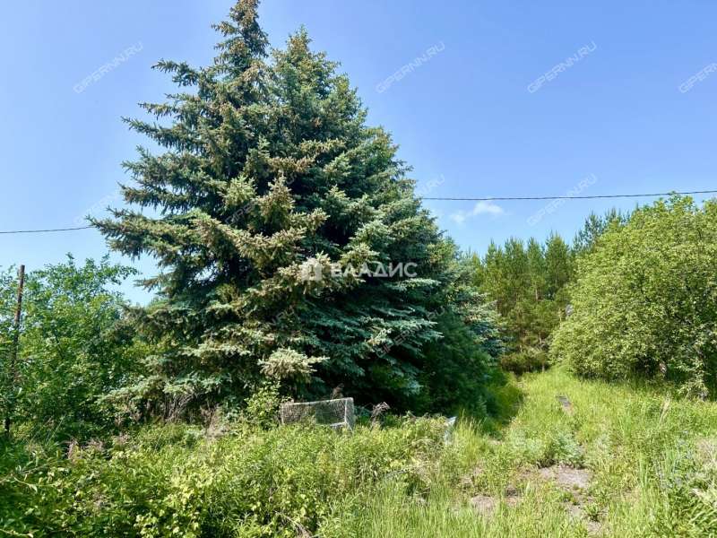 дом на 264 деревня Бугры