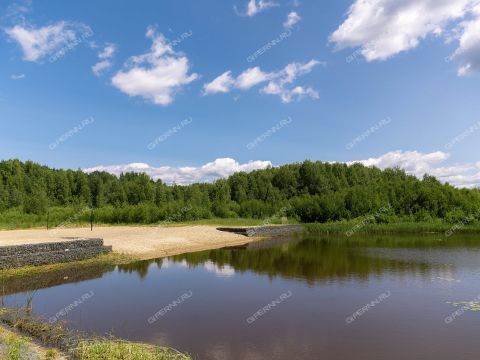 derevnya-grebnevo-gorodskoy-okrug-chkalovsk фото