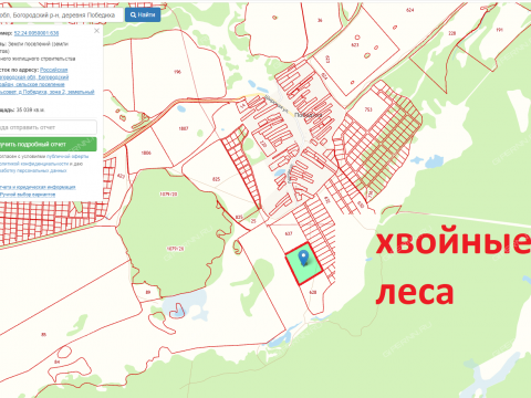 derevnya-pobediha-bogorodskiy-municipalnyy-okrug фото