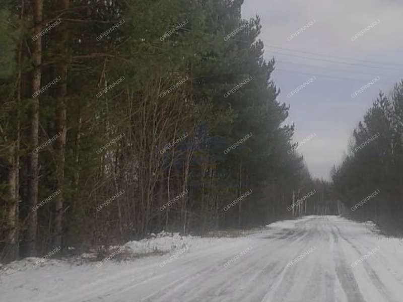 земельный участок 12,49 сотки деревня Каблуково