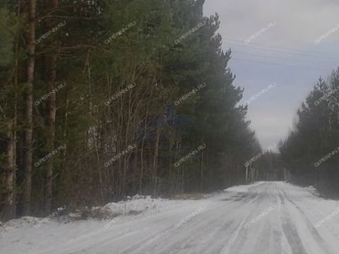 derevnya-kablukovo-gorodskoy-okrug-chkalovsk фото