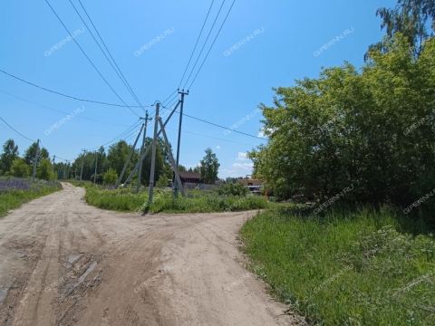 derevnya-ovechkino-gorodskoy-okrug-bor фото