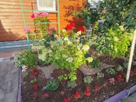 avtozavodskiy-rayon фото