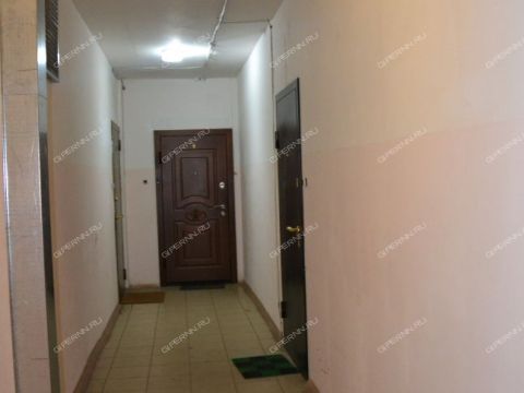 1-komnatnaya-ul-tonkinskaya-d-14a фото