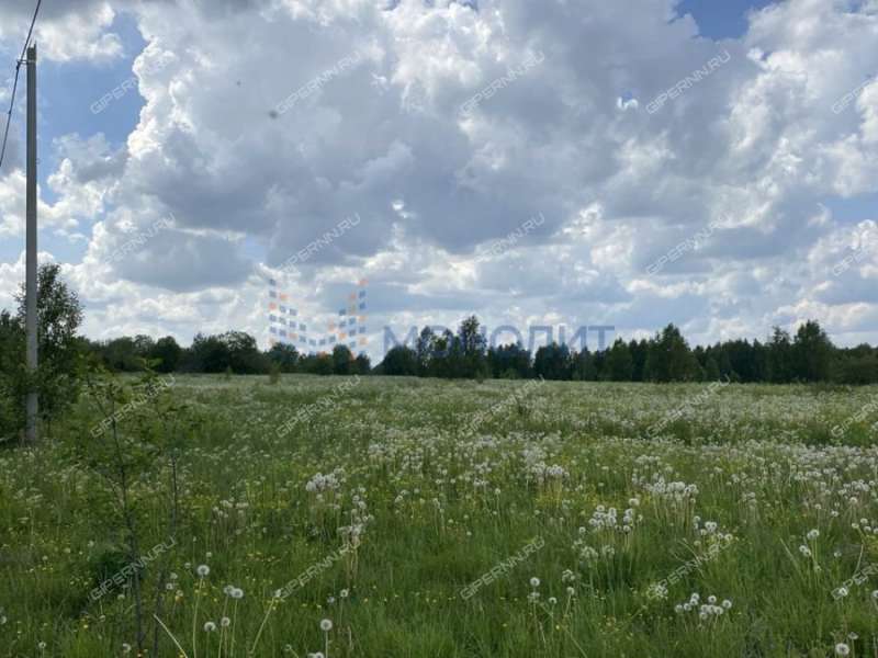 земельный участок под сельхоз назначение в городском округе Чкаловск Нижегородской области