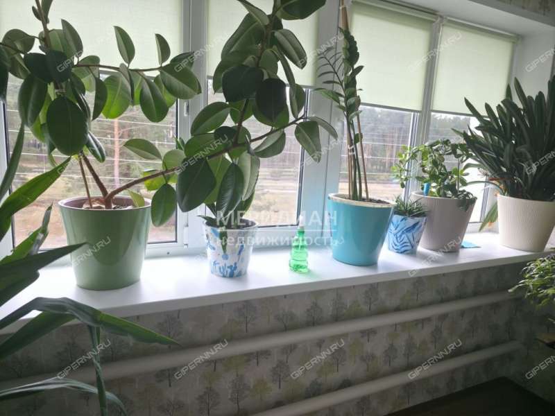 трёхкомнатная квартира на улице Андреева дом 43