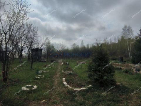dacha-poselok-lisi-yamki-bogorodskiy-municipalnyy-okrug фото