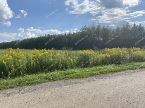 selo-kamenki-bogorodskiy-municipalnyy-okrug фото