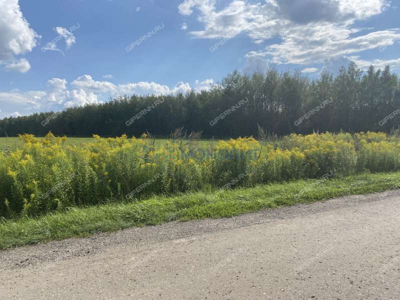 земельный участок 70 соток Цветаевой улица село Каменки