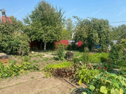 dacha-ul-strokina фото