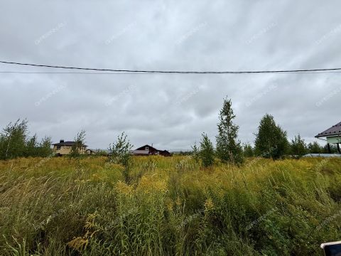 derevnya-mihalchikovo-kstovskiy-rayon фото