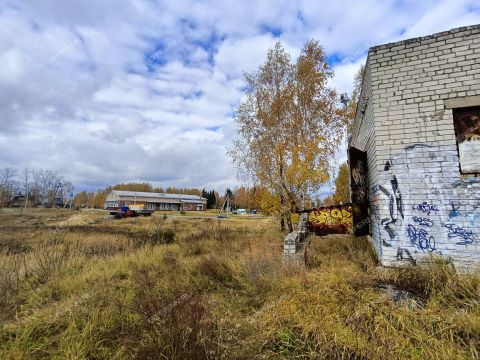 rabochiy-poselok-bolshoe-kozino-balahninskiy-municipalnyy-okrug фото