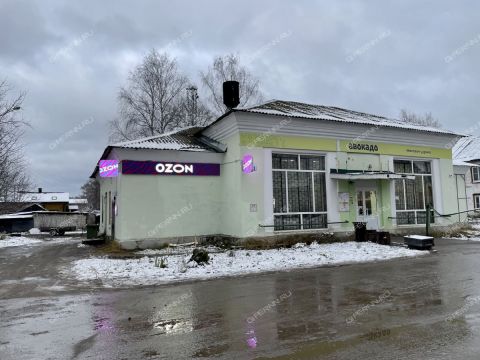 dom-poselok-berezovaya-poyma-ul-kostichevskaya-d-19 фото