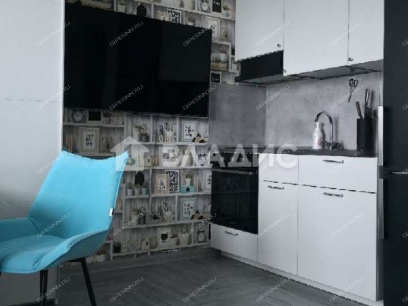 однокомнатная квартира на Московском шоссе дом 167 к3