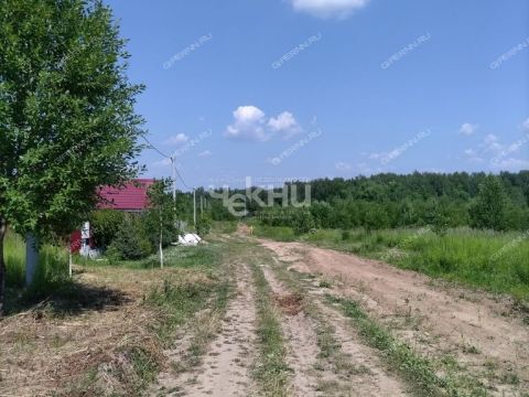 selo-afanasevo-bogorodskiy-municipalnyy-okrug фото