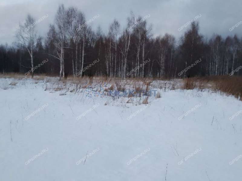 земельный участок под сельхоз назначение в Дальнеконстантиновском районе Нижегородской области