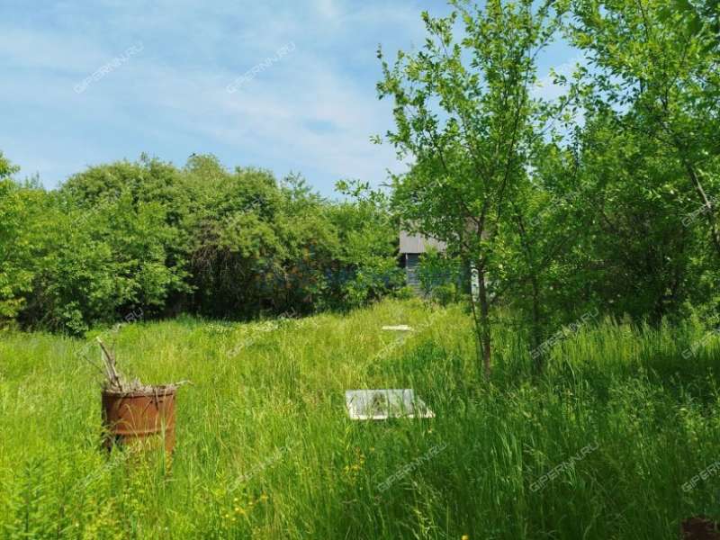 дача на снт спутник