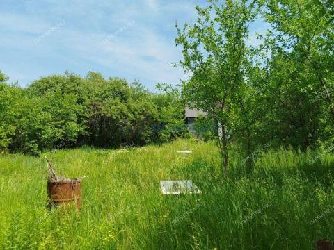 dacha-snt-sputnik-snt-sputnik фото