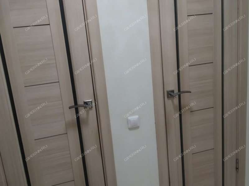 двухкомнатная квартира на улице Бринского дом 2 к2