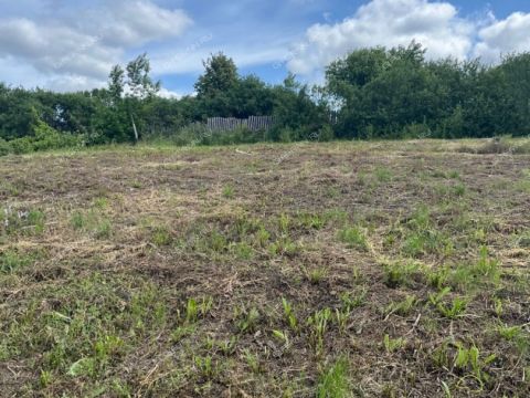 dom-rabochiy-poselok-doschatoe-gorodskoy-okrug-vyksa фото