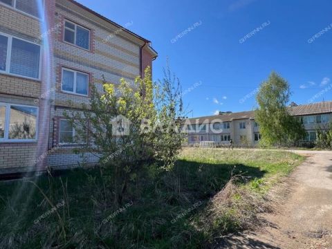 selo-diveevo-diveevskiy-municipalnyy-okrug фото