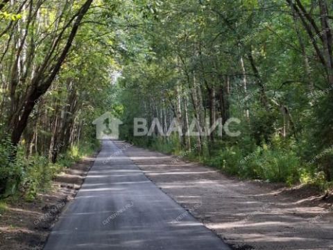 derevnya-apraksino-gorodskoy-okrug-bor фото
