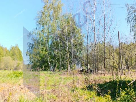 derevnya-berezovo-sokolskiy-gorodskoy-okrug фото