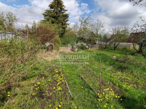dacha-snt-sokol-sad-n1-snt-sokol-sad-1 фото