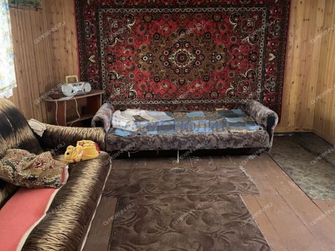 derevnya-kriusha-dalnekonstantinovskiy-rayon фото