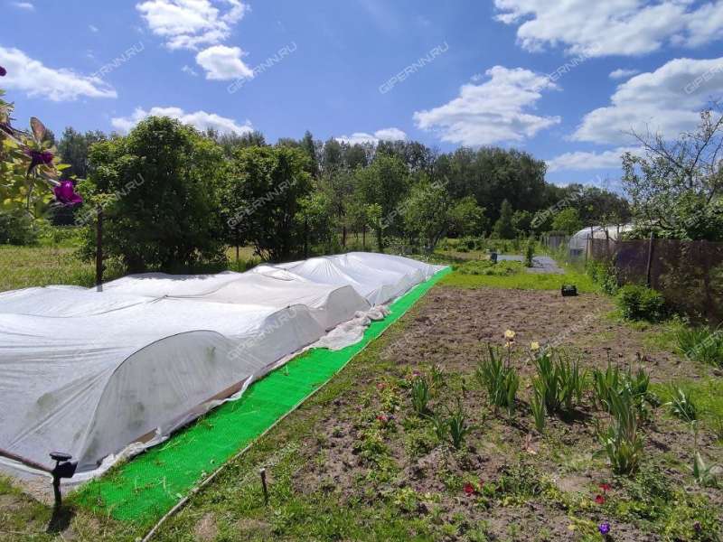 дом на 151 деревня Черемисское