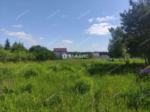 selo-dudenevo-bogorodskiy-municipalnyy-okrug фото