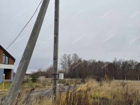 selo-efimevo-bogorodskiy-municipalnyy-okrug фото