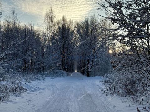 dom-gorod-kstovo-kstovskiy-rayon фото