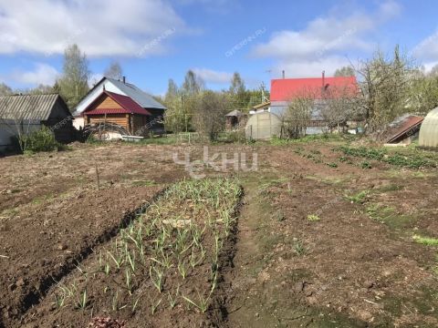 dom-selo-linda-gorodskoy-okrug-bor фото