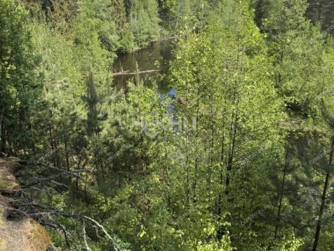 bor-gorodskoy-okrug-bor фото